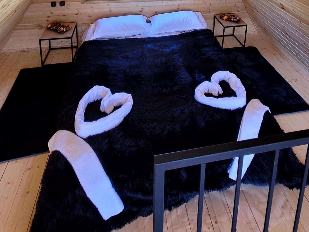 Mtisguli Cottages カズベギ エクステリア 写真