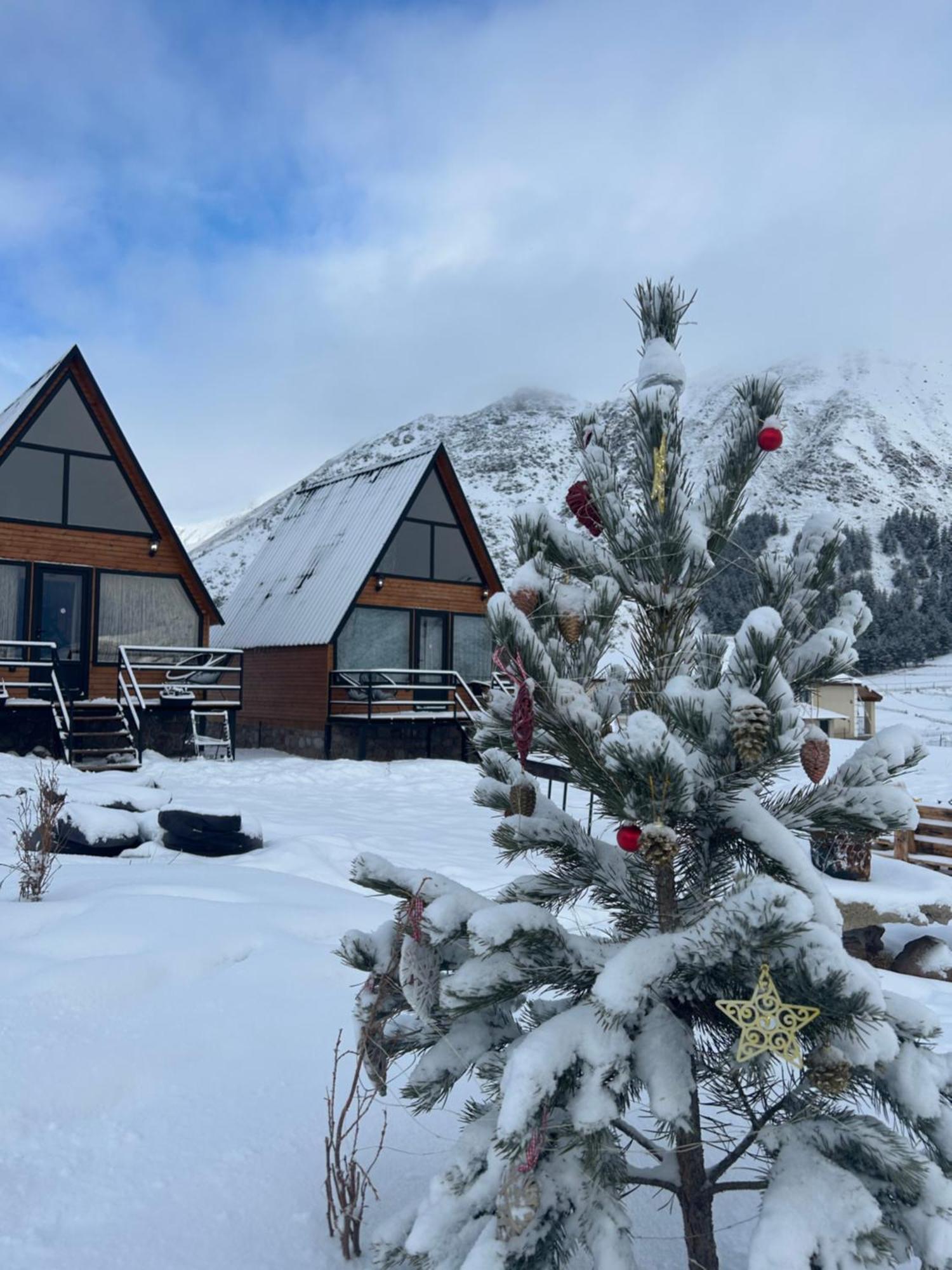Mtisguli Cottages カズベギ エクステリア 写真